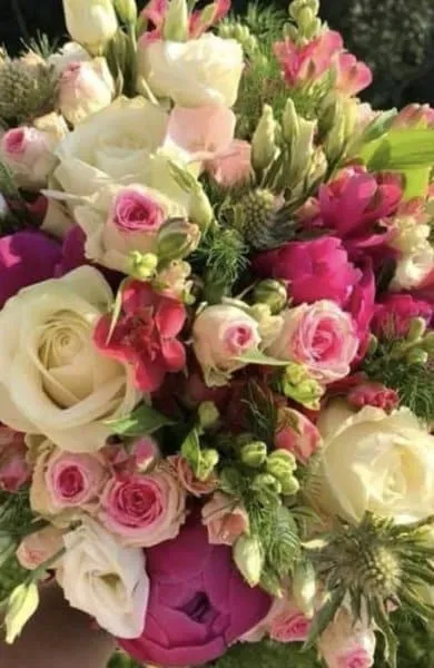 Foto di Bellomo Patrizia