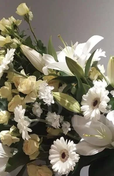 Foto di Maria Siviero
