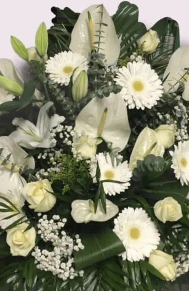 Foto di Ribotta Lucia Margherita