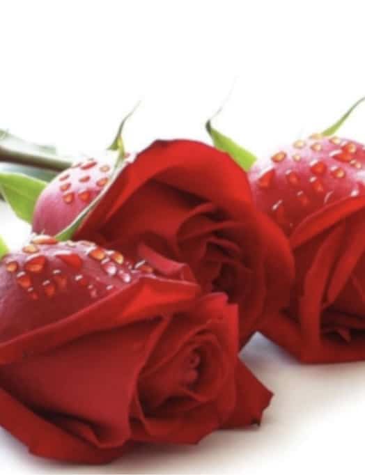 funerale di Antonio Daffredo