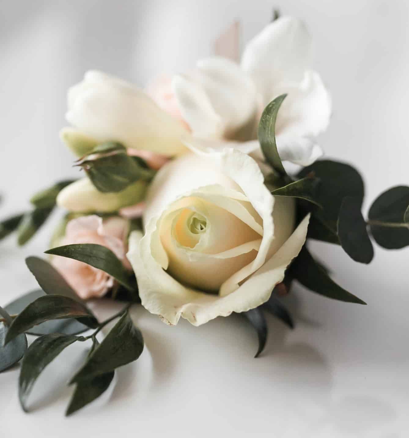 funerale di NICOLA RICCIARDI