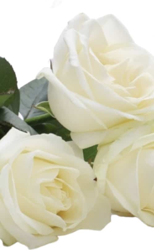 funerale di SALVATORE CARUSO