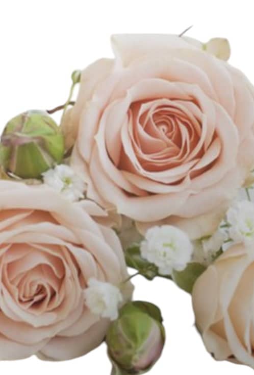 funerale di VITTORIA BALZANO